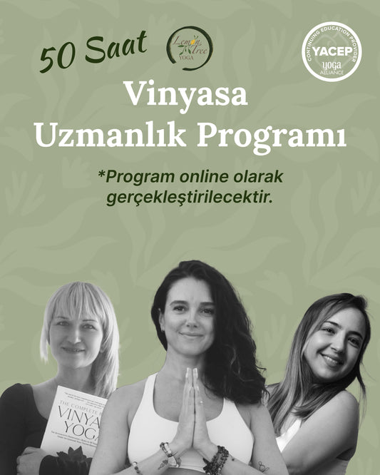 50 Saatlik Vinyasa Yoga Uzmanlaşma Programı