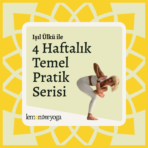 Lemon Tree Başlangıç Programı
