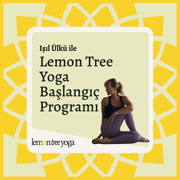 Lemon Tree Yoga Başlangıç Programı