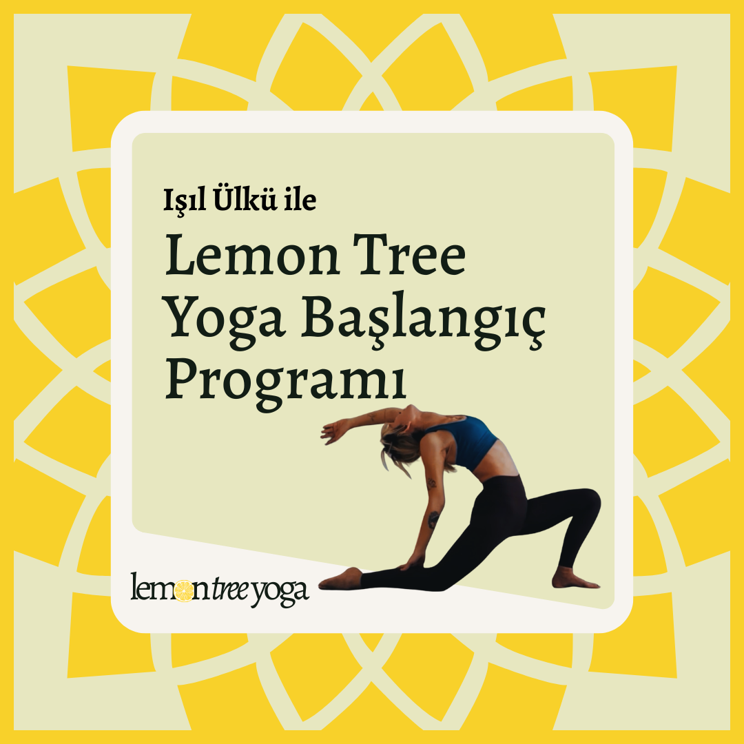 Lemon Tree Yoga Başlangıç Programı