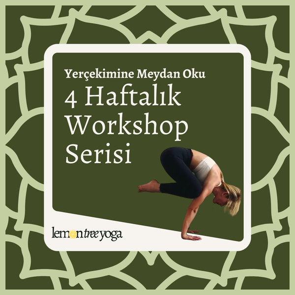 Bakasana, Kakasana & El Kol Dengeleri