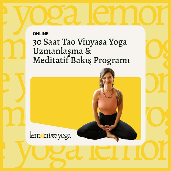30 Saat Tao Vinyasa Yoga Uzmanlaşma & Meditatif Bakış Programı