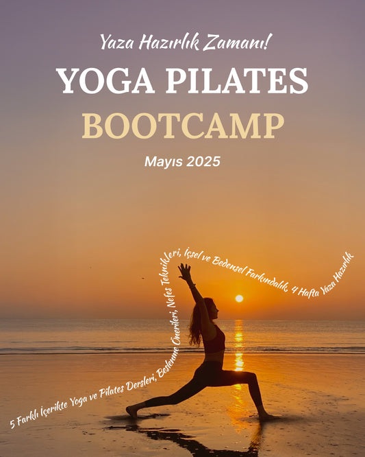 Project : Bootcamp