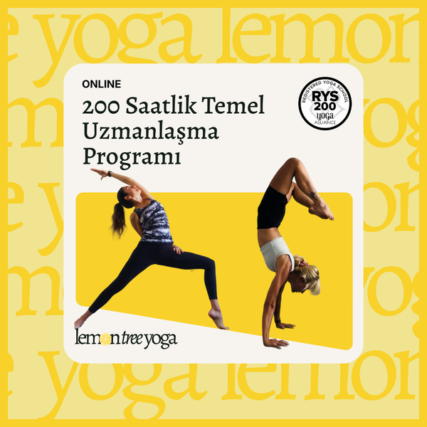 200 Saatlik Temel Yoga Uzmanlaşma Programı