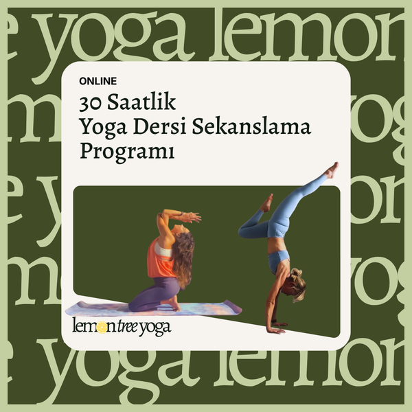 30 Saatlik Yoga Dersi Sekanslama Programı