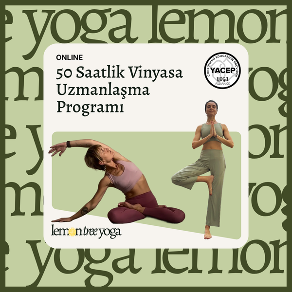 50 Saatlik Vinyasa Uzmanlaşma Programı