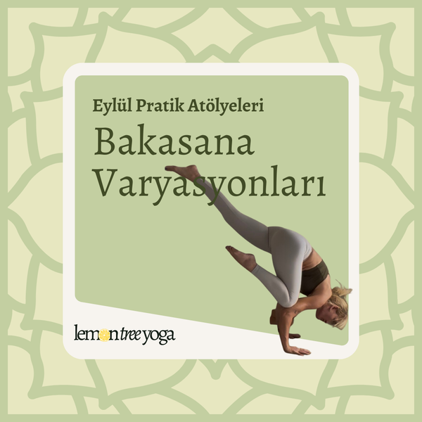 Bakasana Varyasyonları