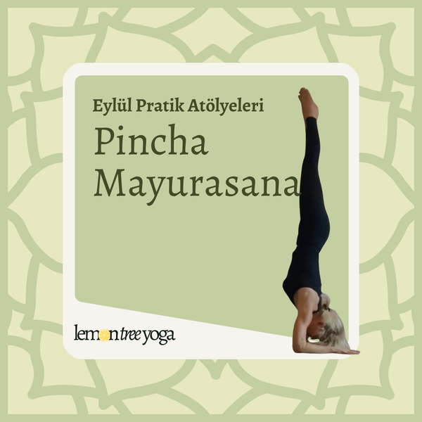 Pincha Mayurasana